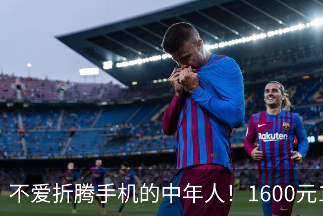 不爱折腾手机的中年人！1600元16+512首选这3台，耐用流畅