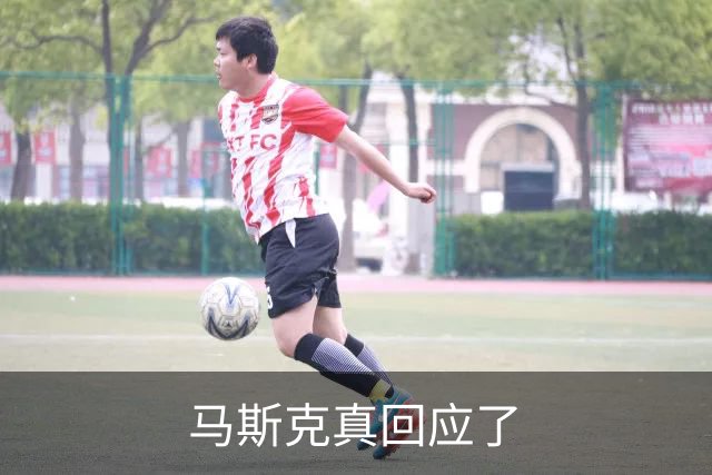 马斯克真回应了